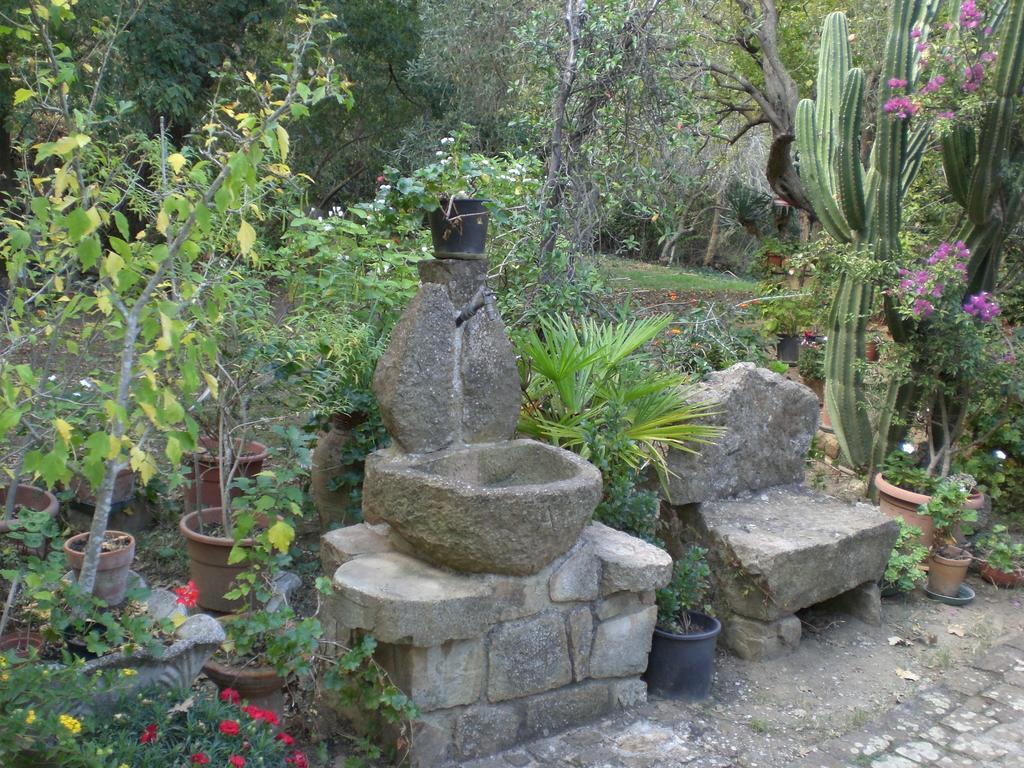 B&B Villa Calagioli Castelbuono  Exterior photo
