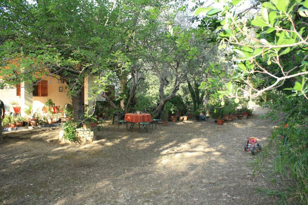 B&B Villa Calagioli Castelbuono  Exterior photo